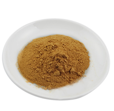 French Clay Yellow