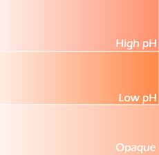 Orange Lab Color (New Formulation)