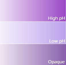 Royal Purple Lab Color (New Formulation)